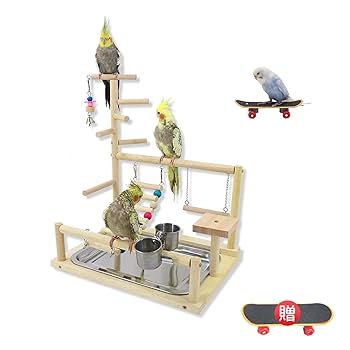 Amazon | SASATO インコ おもちゃ 止まり木 スタンド 景品付き